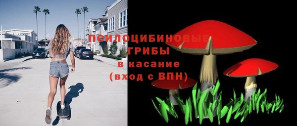 хмурый Алексин