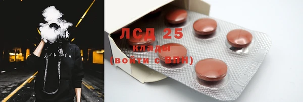 хмурый Алексин