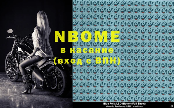 стаф Алзамай