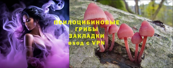 стаф Алзамай