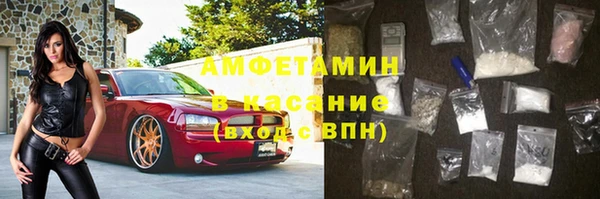 стаф Алзамай