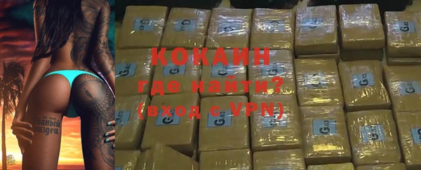 хмурый Алексин