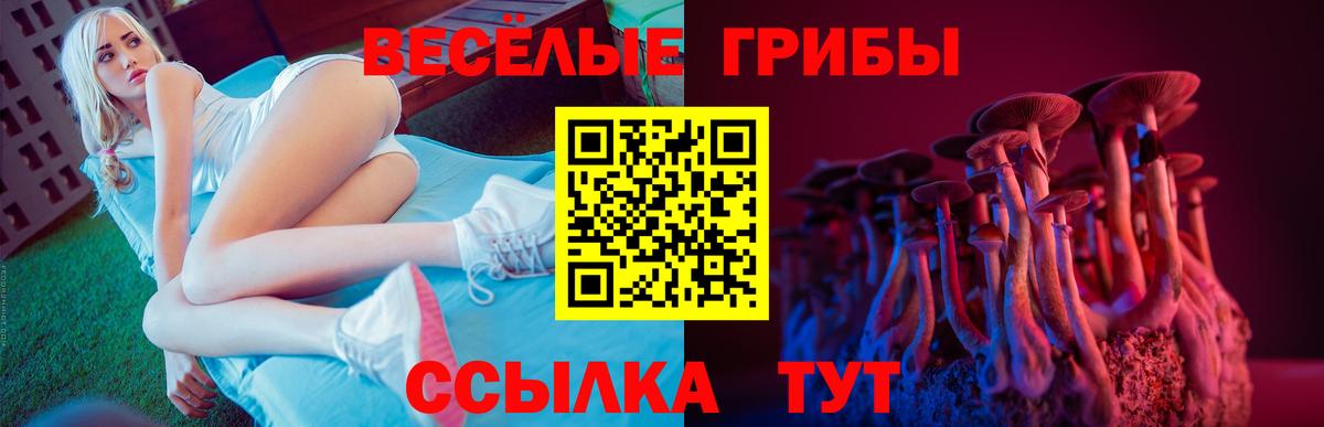 Псилоцибиновые грибы Cubensis  Псилоцибиновые грибы мухоморы  Вход с VPN  Сатка 